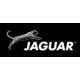 Брашинги JAGUAR
